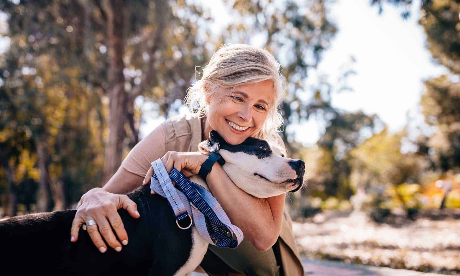 An older dog with their owner